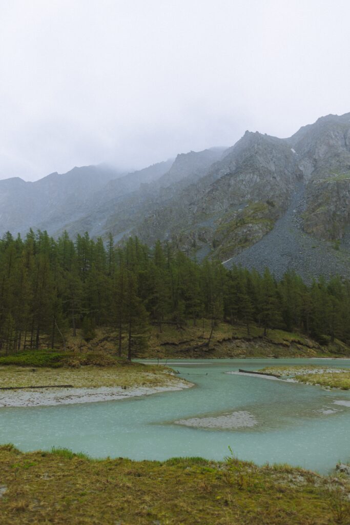 Pentru a împiedica tăierile ilegale de lemn, un deputatul USR solicită includerea sitului Bârnova Repedea din judeţul Iaşi în lista ariilor naturale protejate