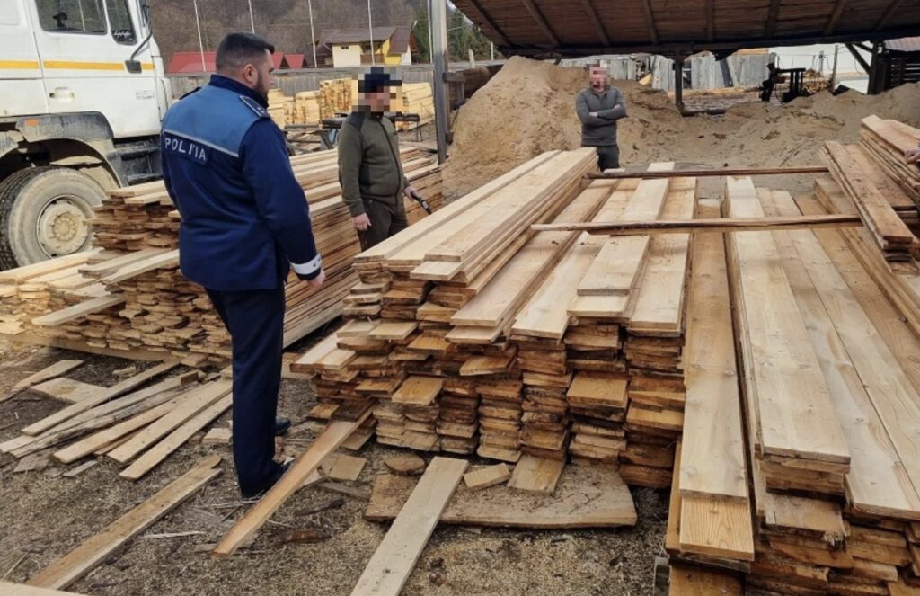 In urma unor controale la mai multe firme de exploatare forestiera din judetul Cluj, au fost descoperite grave nereguli