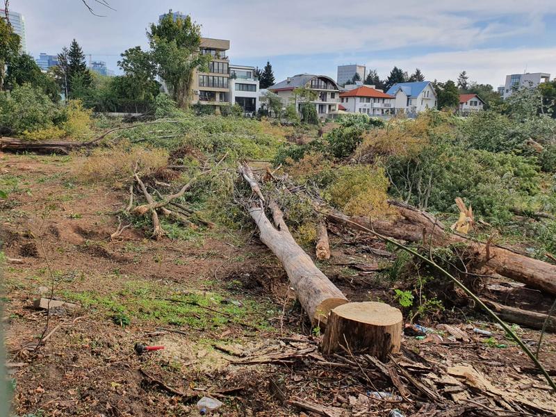 Doar de la începutul anului Bucureștiul a pierdut câteva hectare de spațiu verde