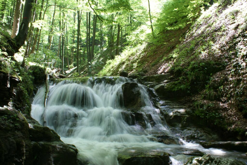 Activiștii de mediu contestă emiterea autorizației de mediu pentru microhidrocentrala de pe râul Taia din Parcul Natural Grădiștea Muncelului Cioclovina