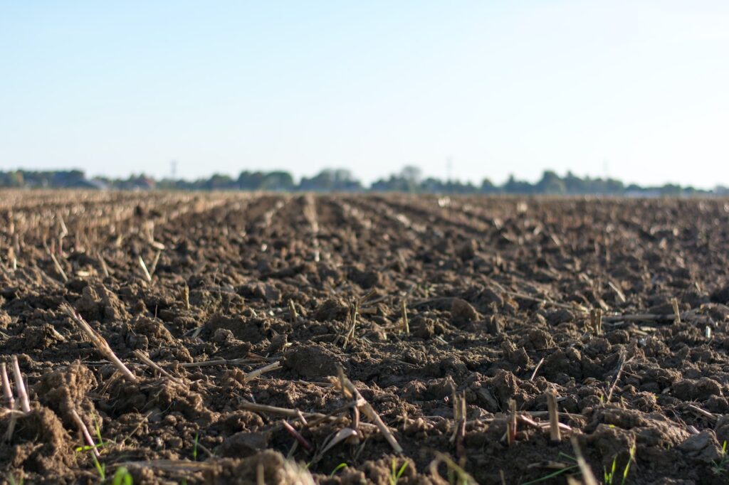 Ce este poluarea solului: cauze, efecte și modalități de combatere