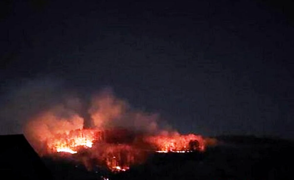 Hoții de lemne își incendiază urmele din pădure. Mii de metri pătrați pârjoliți în Dâmbovița