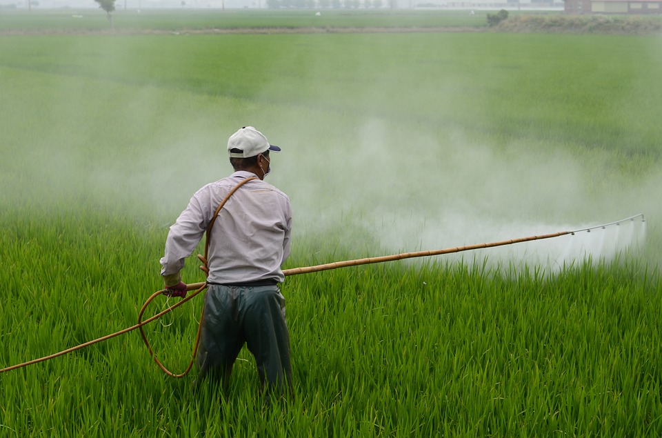România emite din nou derogare pentru folosirea în agricultură de pesticide toxice, interzise în UE