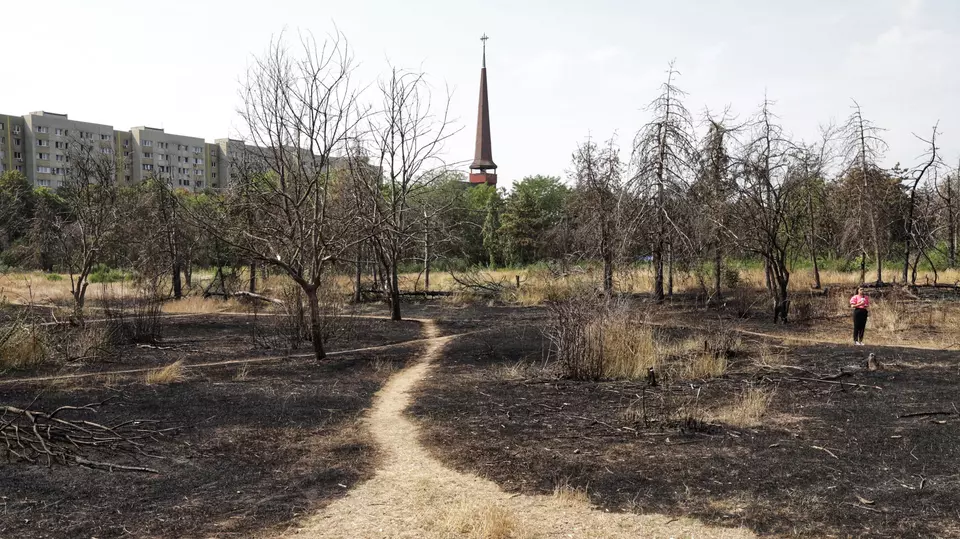 Așa arată Parcul IOR, după incendiul care a ars 4.000 de metri pătrați de vegetație