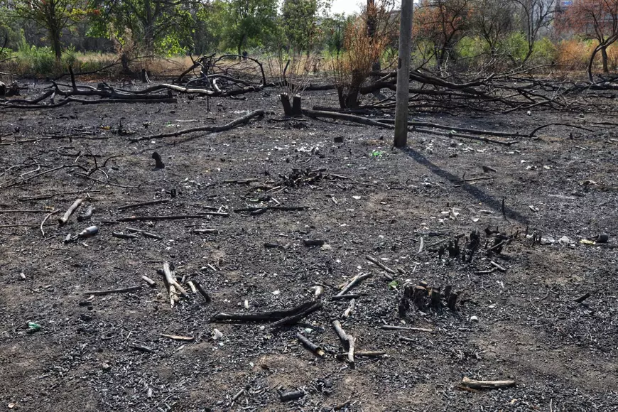 Peisaj postapocaliptic după incendiul din Parcul IORCiteşte întreaga ştire: FOTO Cum arată Parcul IOR, după incendiul care a ars 4.000 de metri pătrați de vegetație