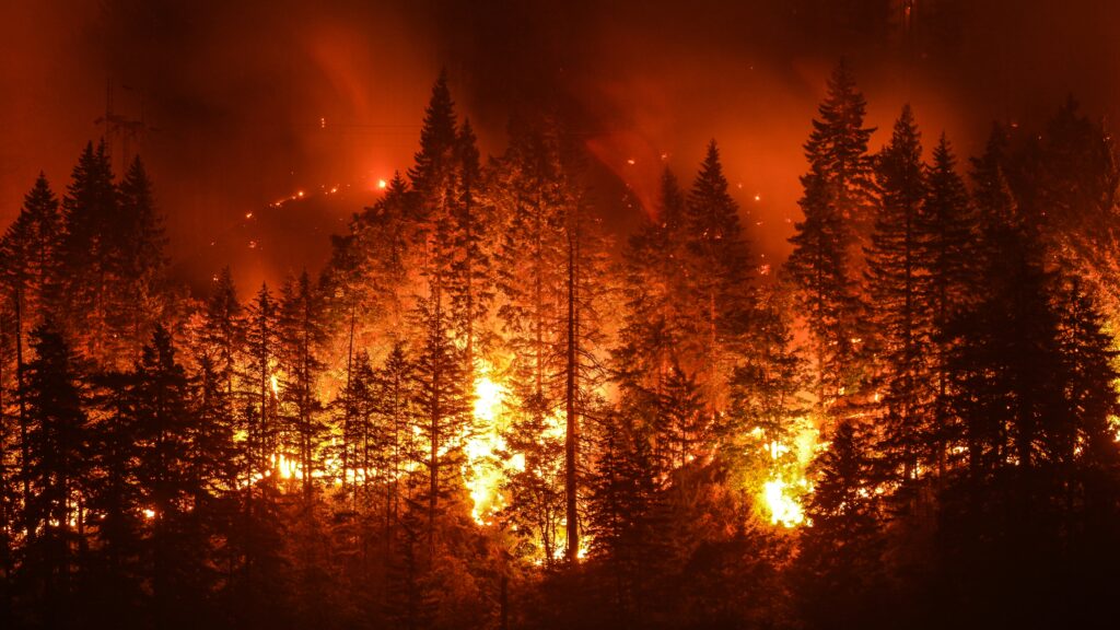 Incendiile de pădure din Canada au produs emisii de niveluri record